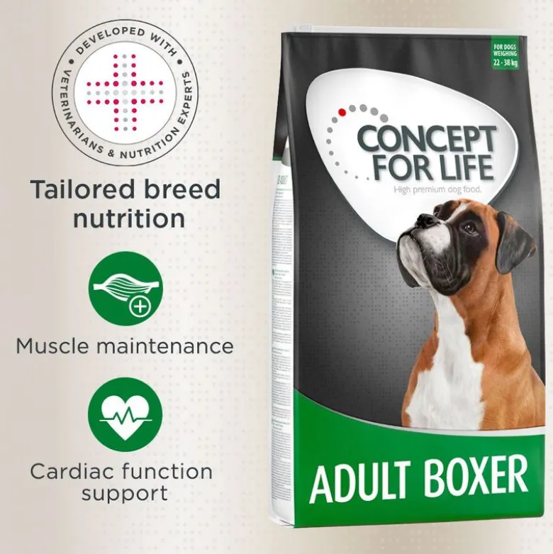 Concept for Life Boxer Adult