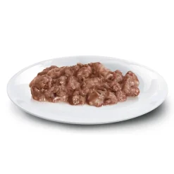 Concept for Life British Shorthair Adult Ragout