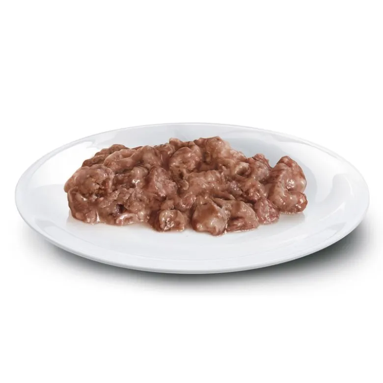 Concept for Life British Shorthair Adult Ragout