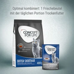 Concept for Life British Shorthair Adult - paranneltu koostumus!
