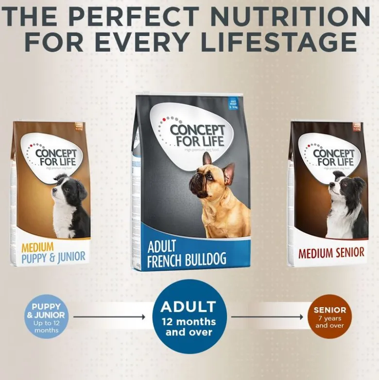 Concept for Life French Bulldog Adult