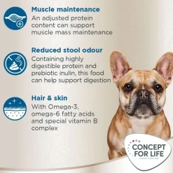 Concept for Life French Bulldog Adult