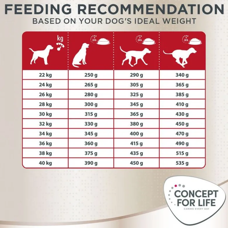 Concept for Life German Shepherd Adult
