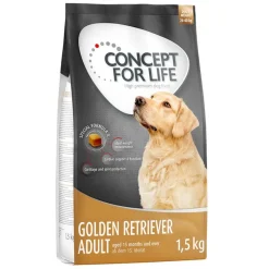 Concept for Life Golden Retriever Adult