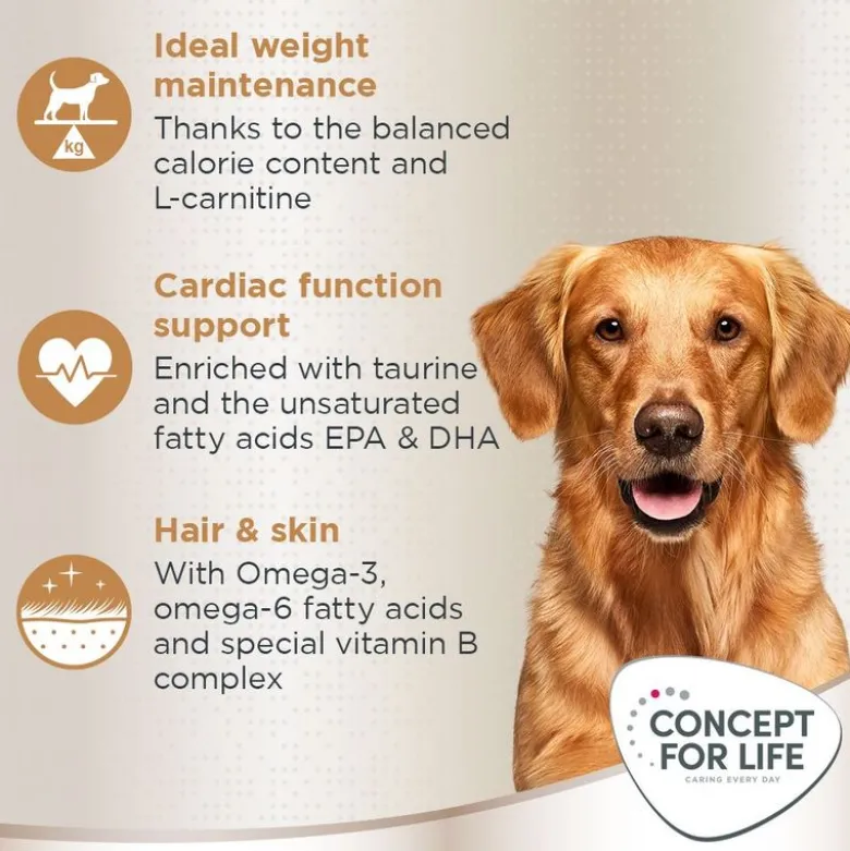 Concept for Life Golden Retriever Adult