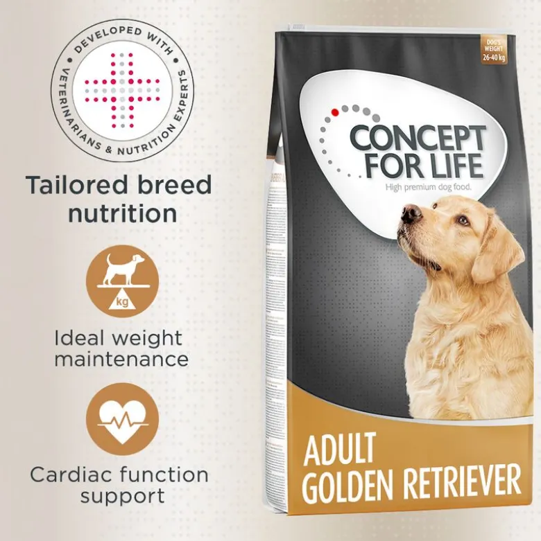 Concept for Life Golden Retriever Adult