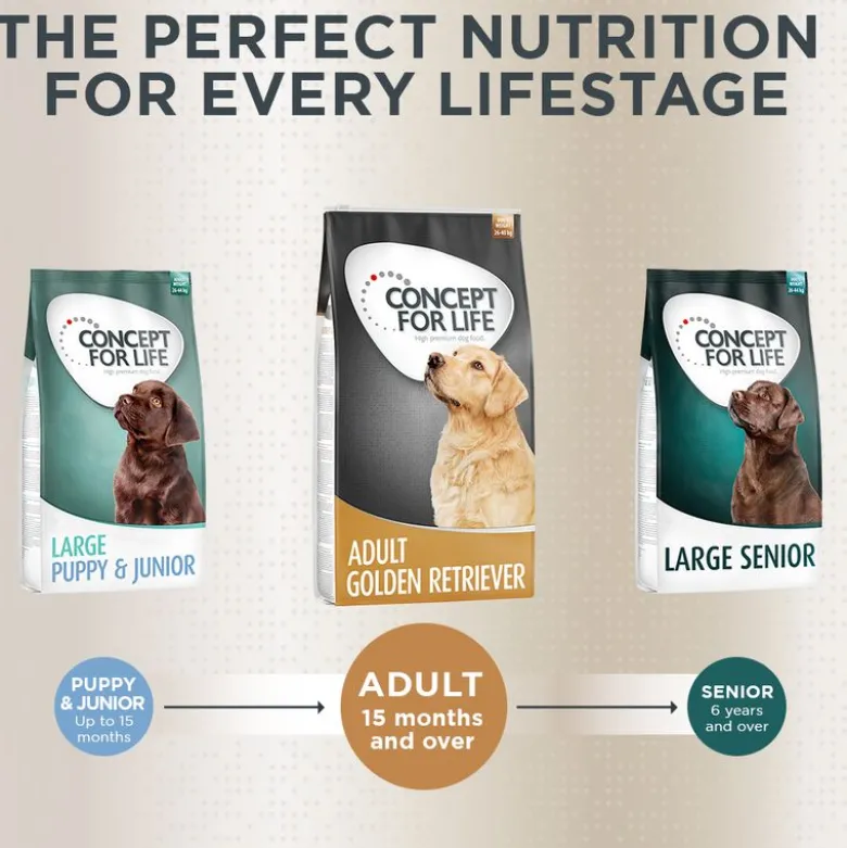 Concept for Life Golden Retriever Adult