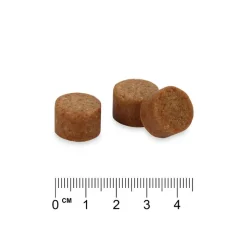 Concept for Life Immune System Support Supplements Chews