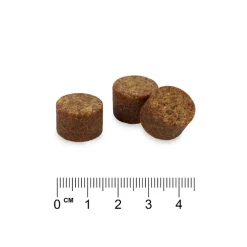 Concept for Life 10-in-1 Multivitamin Supplements Chews