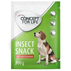 Concept for Life Insect Snack bataatti
