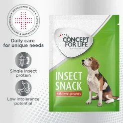 Concept for Life Insect Snack bataatti