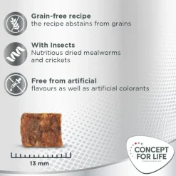 Concept for Life Insect Snack porkkana