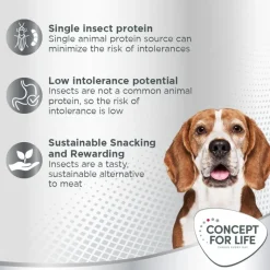 Concept for Life Insect Snack porkkana