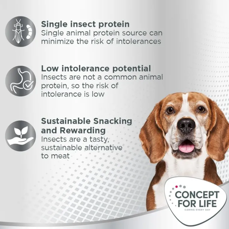 Concept for Life Insect Snack porkkana