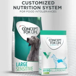 Concept for Life Insect Snack porkkana