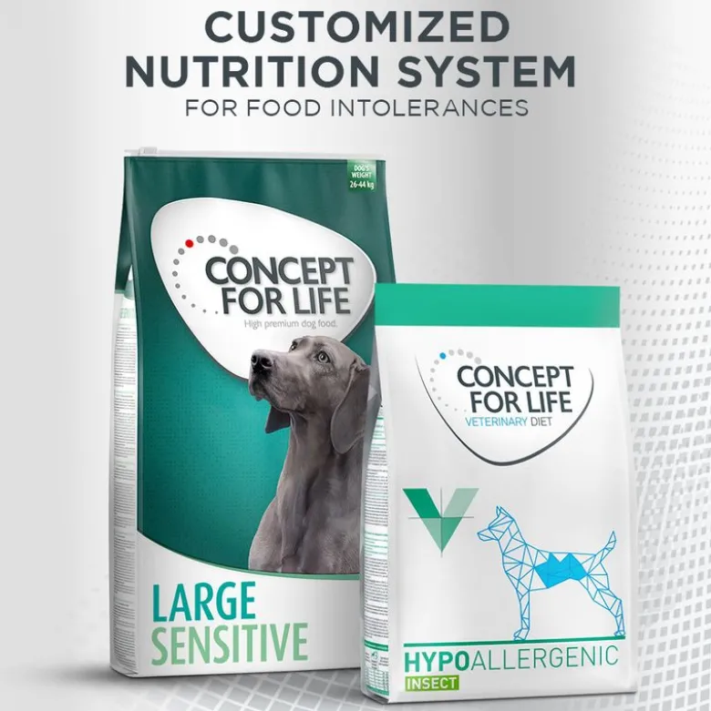 Concept for Life Insect Snack porkkana