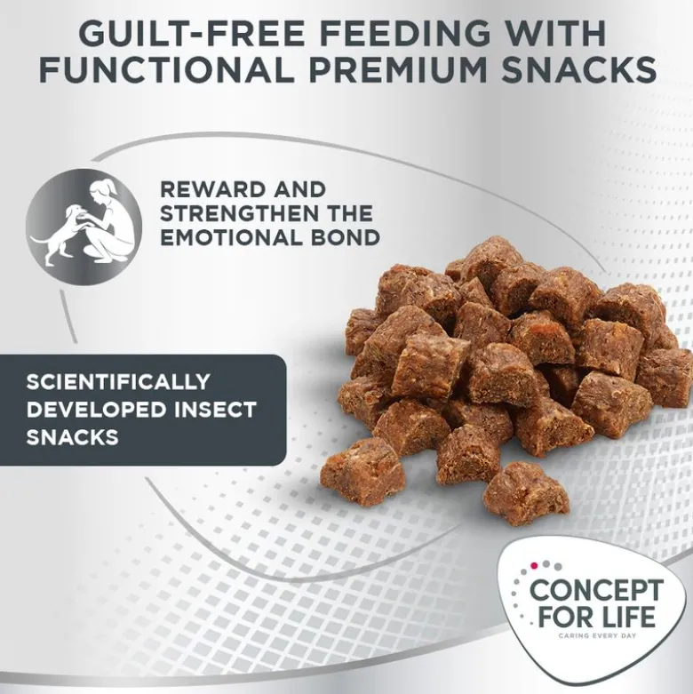 Concept for Life Insect Snack porkkana