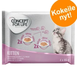 Concept for Life Kitten -kokeilupakkaus 4 x 85 g