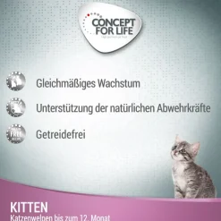 Concept for Life Kitten viljaton nauta – hyytelössä