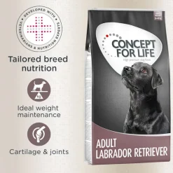 Concept for Life Labrador Retriever Adult