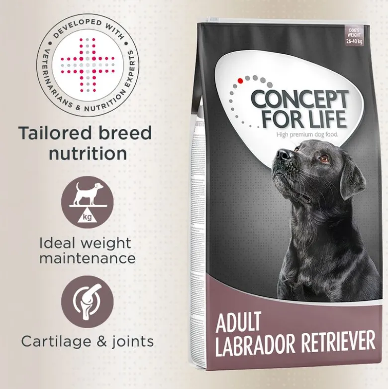 Concept for Life Labrador Retriever Adult