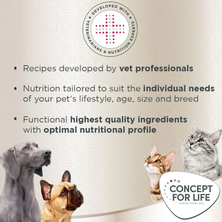 Concept for Life Labrador Retriever Adult