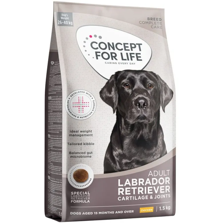 Concept for Life Labrador Retriever Adult