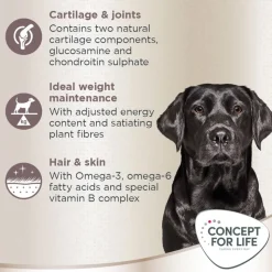 Concept for Life Labrador Retriever Adult