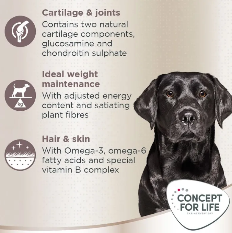Concept for Life Labrador Retriever Adult