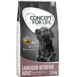 Concept for Life Labrador Retriever Adult