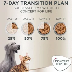 Concept for Life Labrador Retriever Adult
