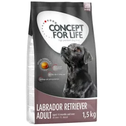 Concept for Life Labrador Retriever Adult