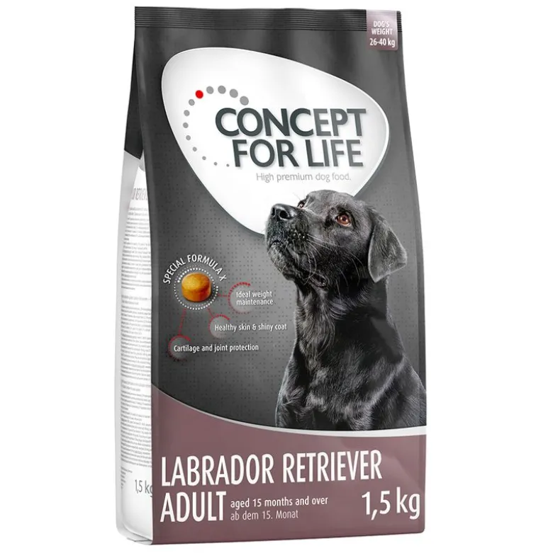 Concept for Life Labrador Retriever Adult