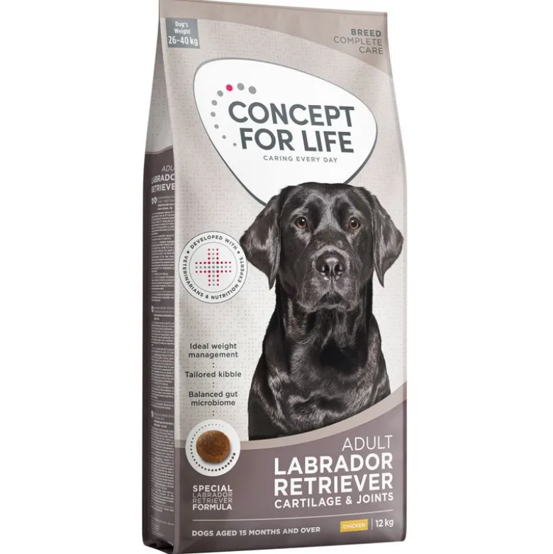 Concept for Life Labrador Retriever Adult