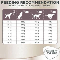 Concept for Life Labrador Retriever Adult