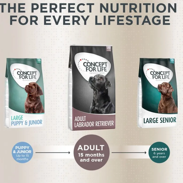 Concept for Life Labrador Retriever Adult