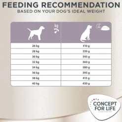Concept for Life Labrador Sterilised