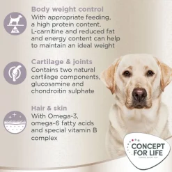 Concept for Life Labrador Sterilised