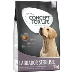 Concept for Life Labrador Sterilised