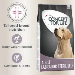 Concept for Life Labrador Sterilised
