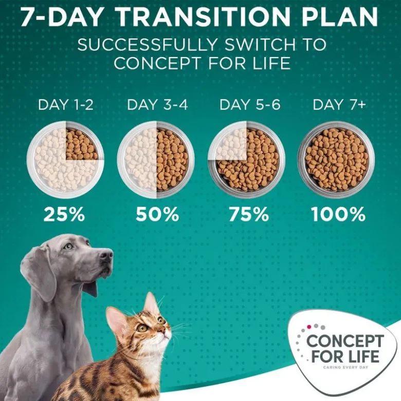 Concept for Life Large Adult
