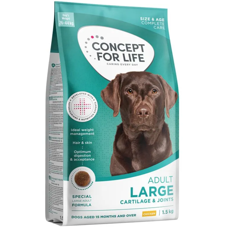 Concept for Life Large Adult