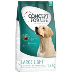 Concept for Life Large Light