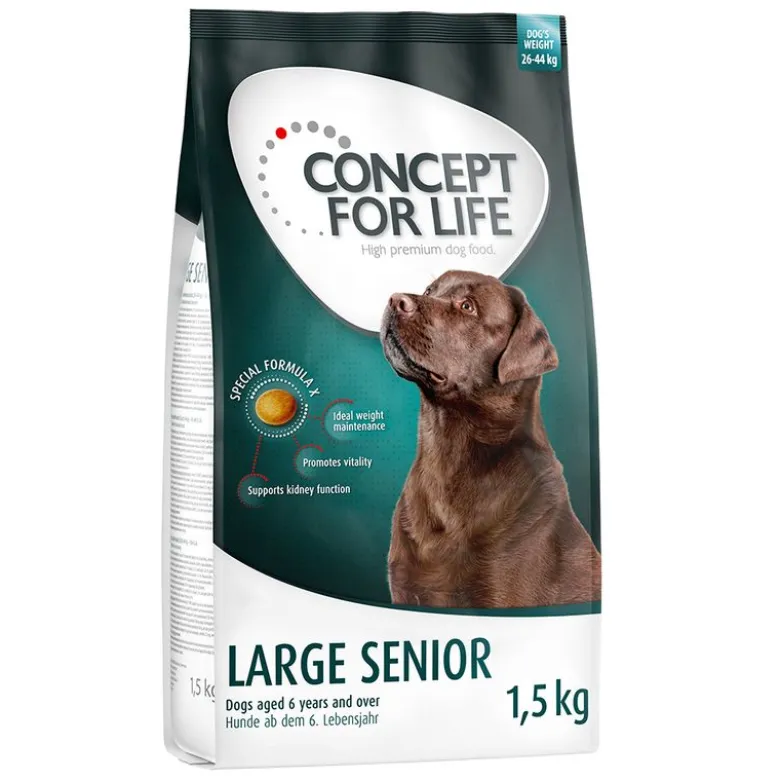 Concept for Life Large Senior