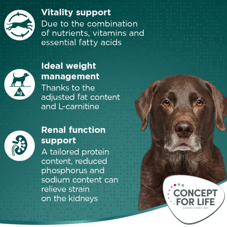 Concept for Life Large Senior
