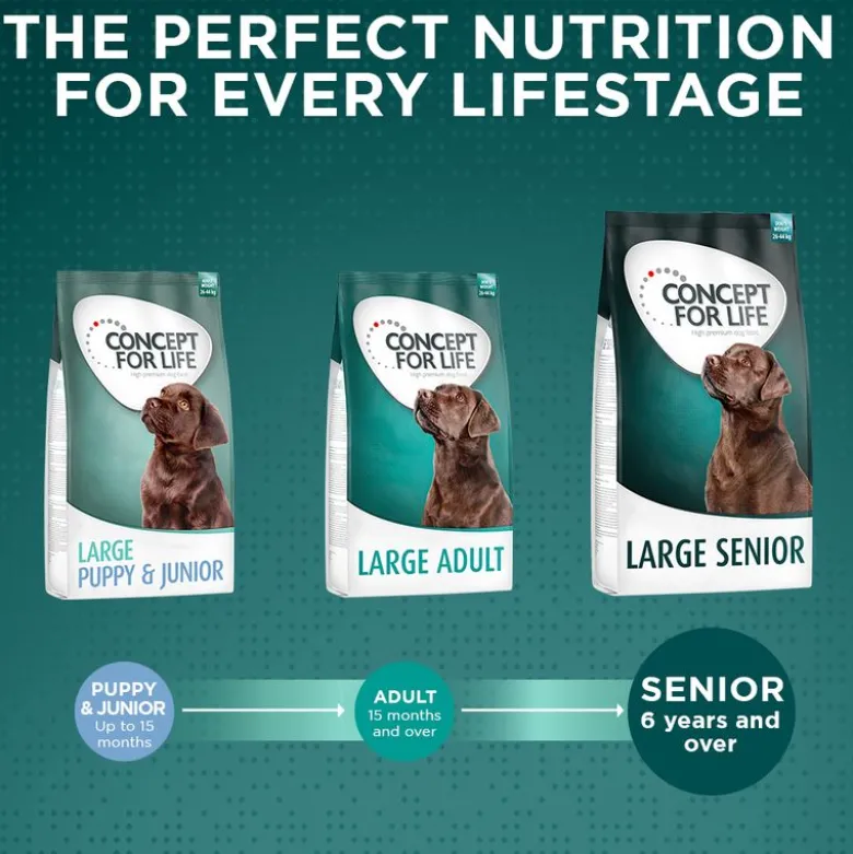 Concept for Life Large Senior