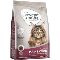 Concept for Life Maine Coon Adult kuivaruoka