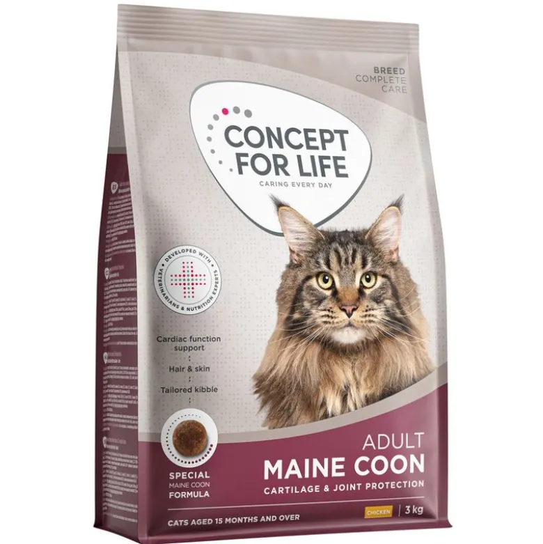 Concept for Life Maine Coon Adult kuivaruoka