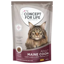 Concept for Life Maine Coon Adult kuivaruoka