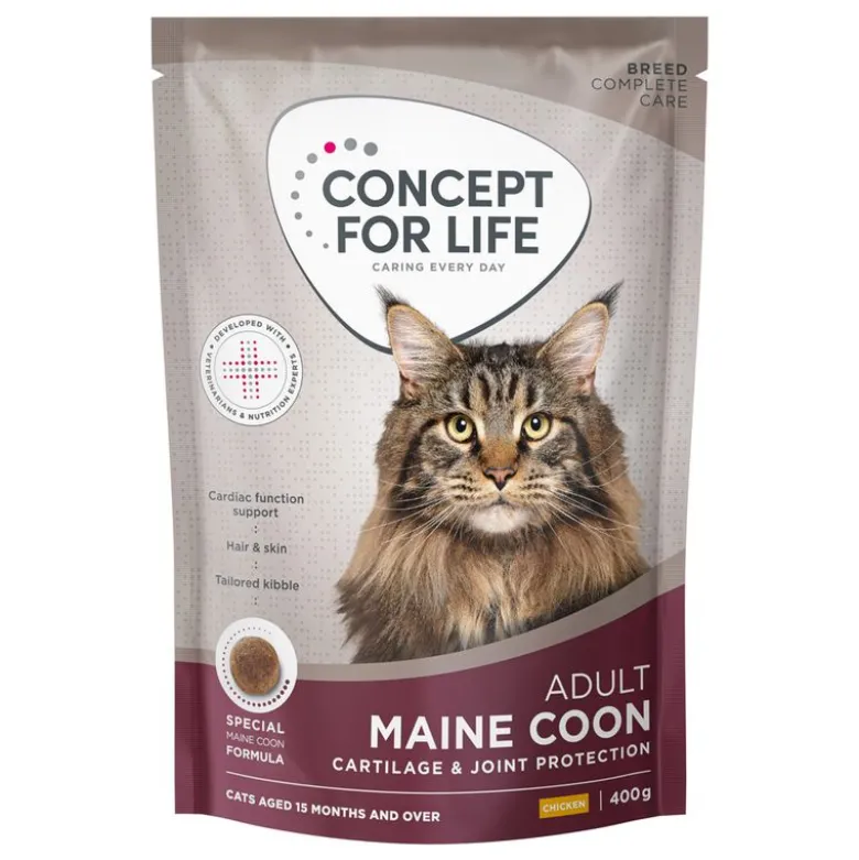 Concept for Life Maine Coon Adult kuivaruoka